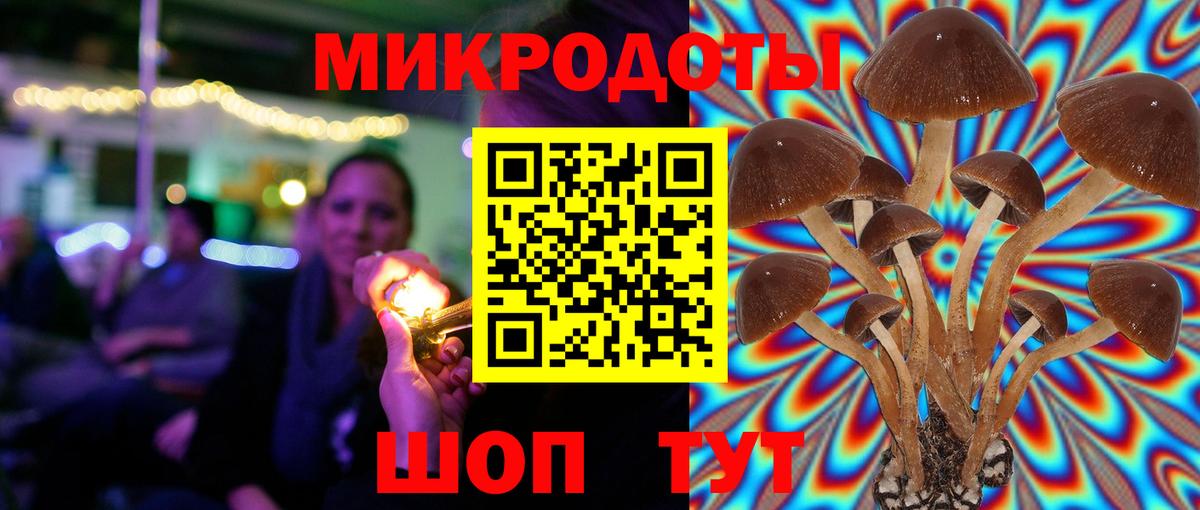 Красногорск  Галлюциногенные грибы MAGIC MUSHROOMS  Вход с VPN 